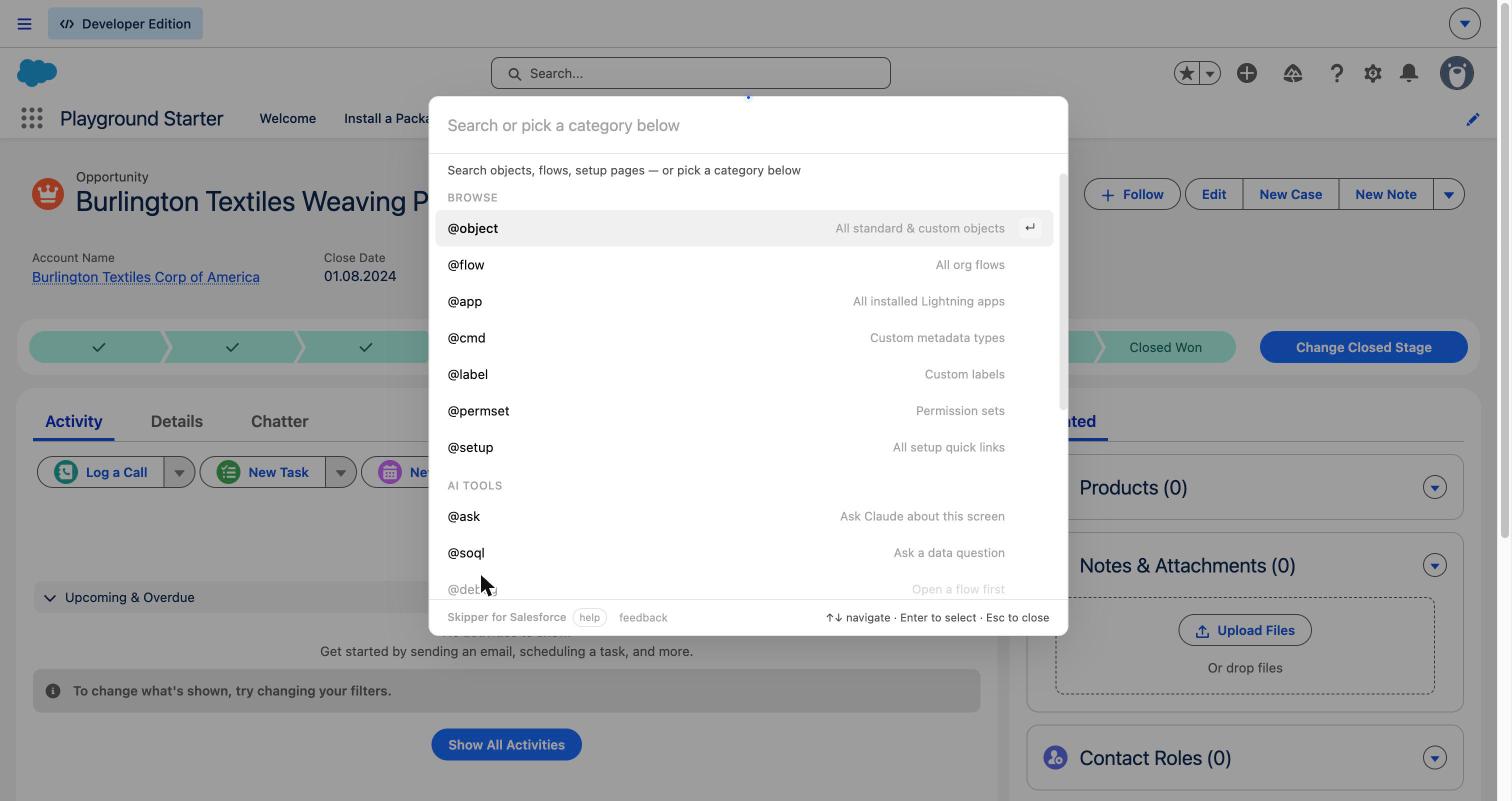 Skipper command palette open on a Salesforce page, fuzzy-searching across objects, flows, and Setup pages